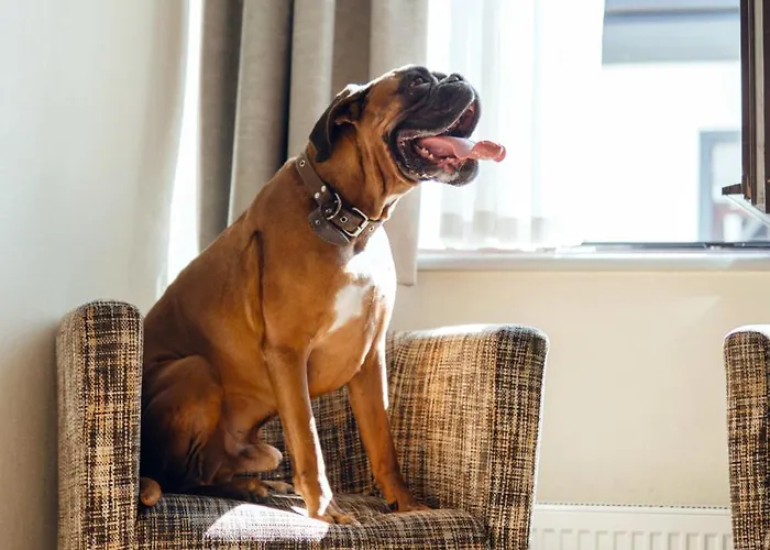 Hotel Rija Domus Riga