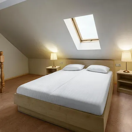 Rija Domus 3* Рига