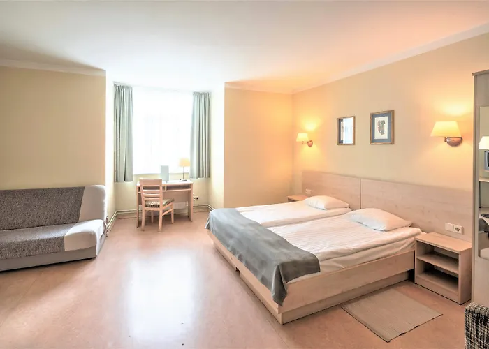 호텔 Rija Domus 3*